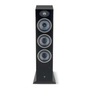 Alternative view of Focal Theva N°3