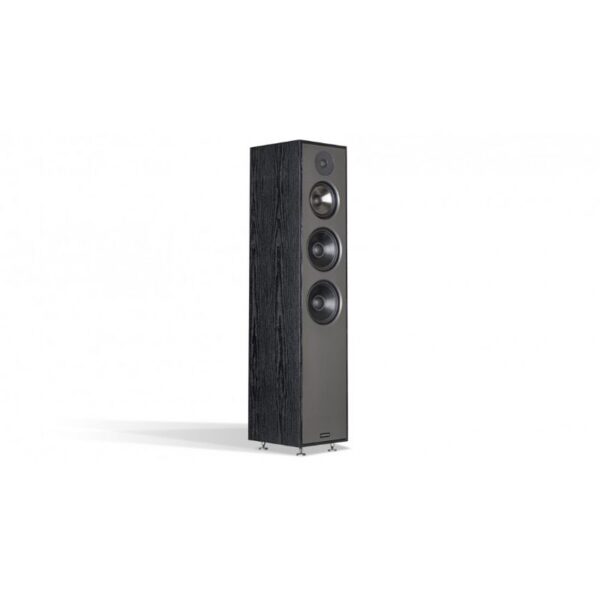 Sonus 3165 - Image 4