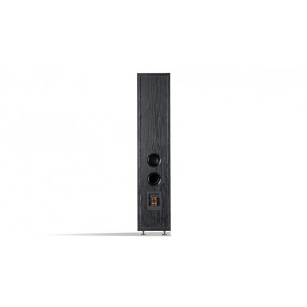 Sonus 3165 - Image 6